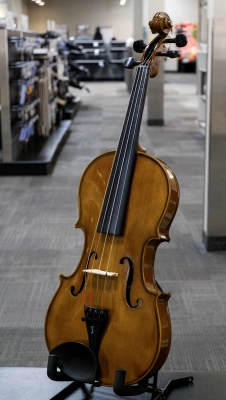 STENTOR STUDENT II VIOLA OUTFIT 16